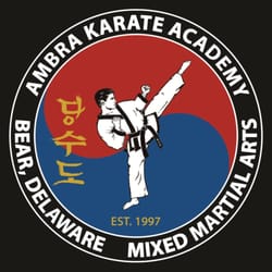 Ambra Karate Academy - Martial Arts professionals dedicated to child development and Black Belt excellence!