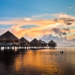 Lisa Hoppe Travel Consulting - One of our many enchanting vacation destinations! Book a trip with Lisa Hoppe Travel Consulting today!  Tahiti: Over-water Bungalows