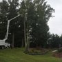 Photo of Sosa Tree Service