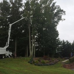 Sosa Tree Service