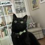 Photo of Best Friend's Veterinary Center