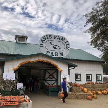 Davis Family Farm - the entrance to the farm - Nurseries & Gardening Near Me - Corvallis, Oregon Davis Family Farm - the entrance to the farm - Nurseries & Gardening Near Me - Corvallis, Oregon