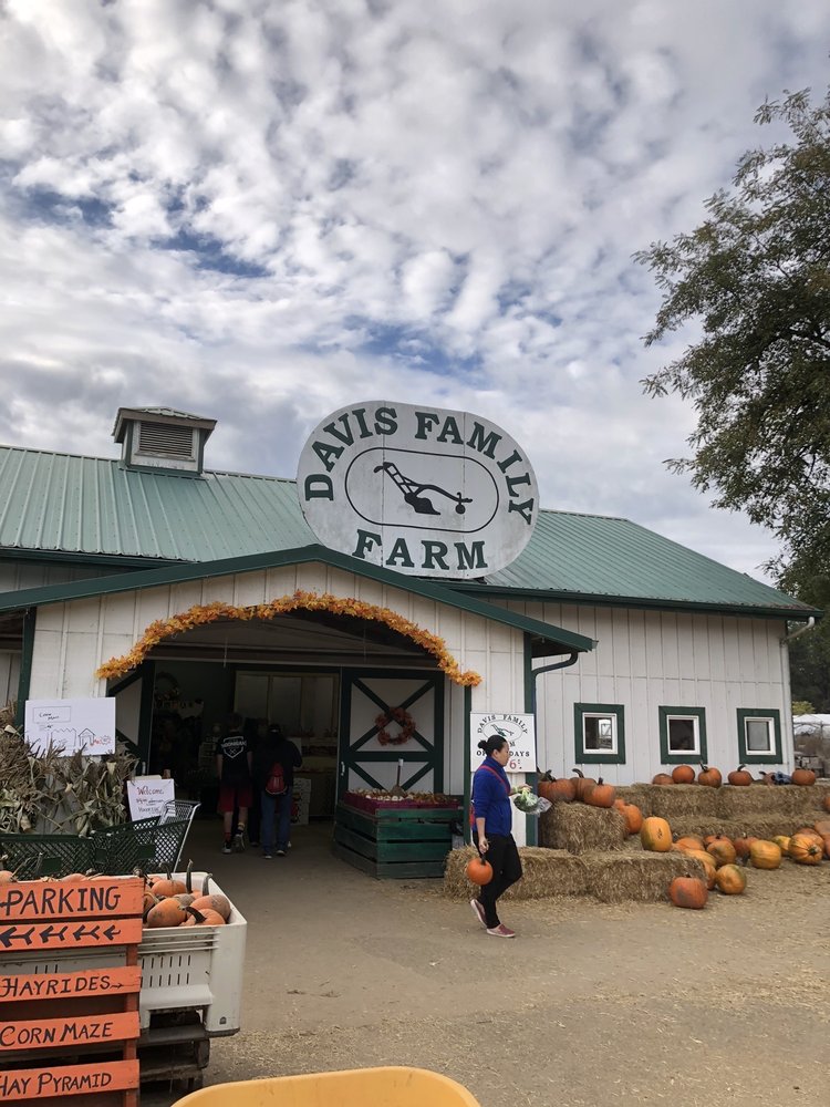 DAVIS FAMILY FARM 35 Photos & 11 Reviews 4380 NE Hwy 20, Corvallis