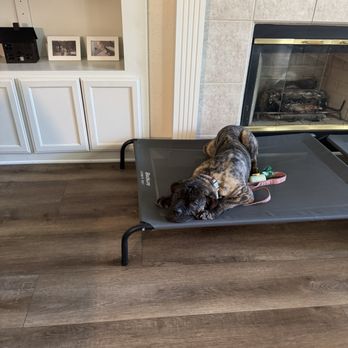 Ridgeside K9 NorCal - Pet Training Near Me - Chico, California Ridgeside K9 NorCal - Pet Training Near Me - Chico, California