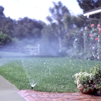 Cody's Irrigation and Landscape - a sprinkler spraying water on a lawn - Landscaping Near Me - Bastrop, Texas Cody's Irrigation and Landscape - a sprinkler spraying water on a lawn - Landscaping Near Me - Bastrop, Texas