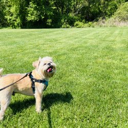 Bark Busters - Mike the Dog Trainer