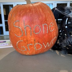 Shone Farms - Wine pick up