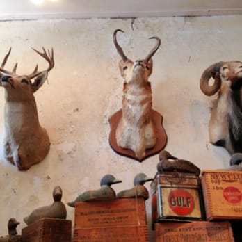 Jefferson Texas General Store - Loved the taxidermy in this place! - Convenience Stores Near Me - Jefferson, Texas Jefferson Texas General Store - Loved the taxidermy in this place! - Convenience Stores Near Me - Jefferson, Texas
