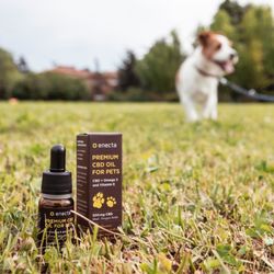 Cloud Vape Plus