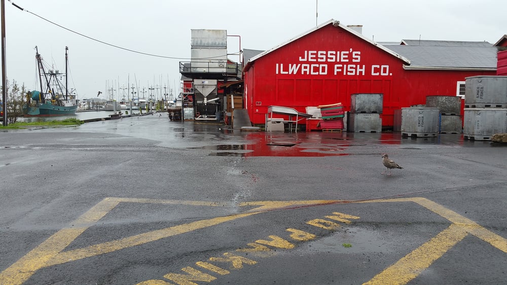 JESSIE’S SEAFOOD MARKET CLOSED Updated September 2024 10 Reviews 107 Howerton Way SE
