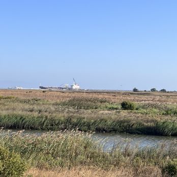 Pacheco Marsh - Hiking Near Me - Martinez, California