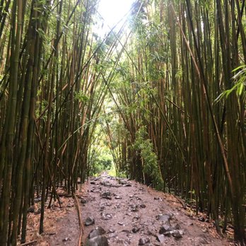 Pipiwai Trail - Hiking Near Me - Hana,, Hawaii