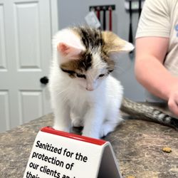 Goshen Animal Clinic