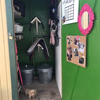 Telesis Equestrian - Horseback Riding Near Me - Norco, California