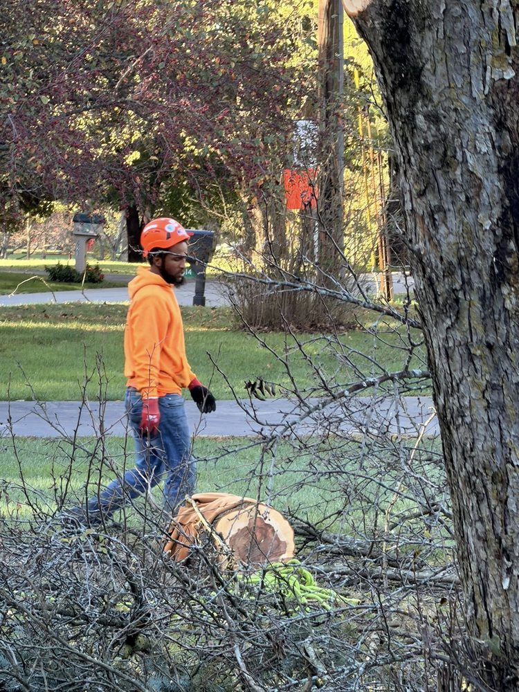 A Woman's Touch Tree Care - tree service in Columbus, OH