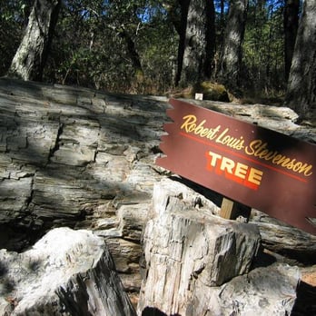 The Petrified Forest - Parks Near Me - Calistoga, California The Petrified Forest - Parks Near Me - Calistoga, California