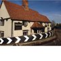 Photo of Plume Of Feathers