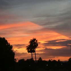 Anthea's Healing Hands - Arizona sunset
