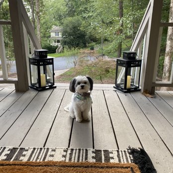 JP's Top Dog - Pet Groomers Near Me - Marietta, Georgia