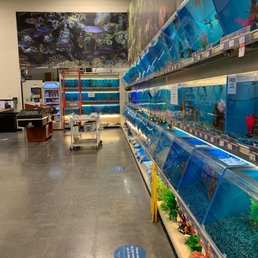 Aquatic Animals! Aquatic Animals!