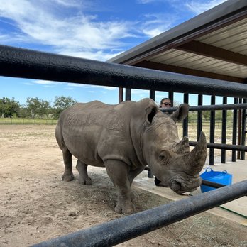 Rhinory - Meet Blake - Wineries Near Me - Fredericksburg, Texas Rhinory - Meet Blake - Wineries Near Me - Fredericksburg, Texas