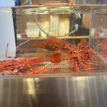 Tomodachi Sushi - Simi Valley - Live shrimp! - Sushi Bars Near Me - Simi Valley, California Tomodachi Sushi - Simi Valley - Live shrimp! - Sushi Bars Near Me - Simi Valley, California