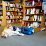Photo of Barrett Bookstore