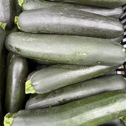 Hazlet Farmers Market