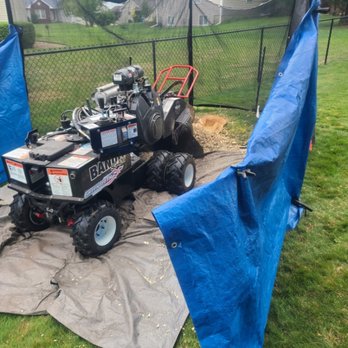 Grind It Up - Ready to grind a stump - Tree Services Near Me - Cedar Rapids, Iowa Grind It Up - Ready to grind a stump - Tree Services Near Me - Cedar Rapids, Iowa