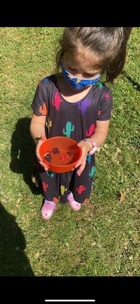 Angel Wings Daycare - childcare center in Rockville, MD