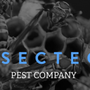 Photo of Insecteco Pest Company