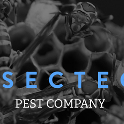 Insecteco Pest Company