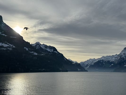 Seehotel Waldstätterhof by null