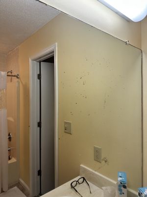 Massanutten Resort by null