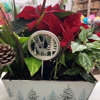 Shana's Marketplace - Florists Near Me - Coquitlam, British Columbia Shana's Marketplace - Florists Near Me - Coquitlam, British Columbia