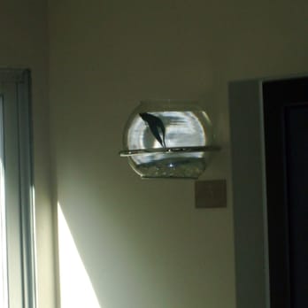 The Pearl Hotel - Room #6 beta fish - San Diego, CA