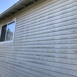 Johnny Tsunami - Years and years of algae growth on this vinyl siding!