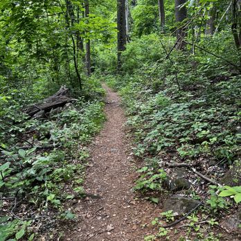 Skyline Drive - Parks Near Me - Front Royal, Virginia