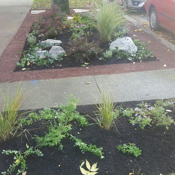Square Root Garden Design - Landscaping Near Me - Chicago, Illinois