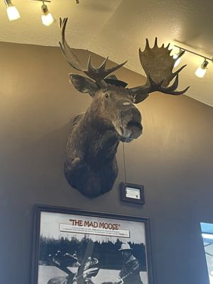 Mad Moose Cafe by null