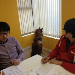 English Lab Toronto