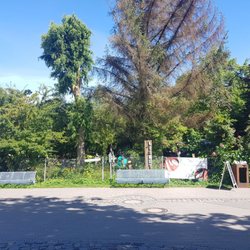 Skulpturen Im Garten - Die letzte Garten-Bastion in Zingst, ohne häßlichen Neubau drauf, wie nebenan