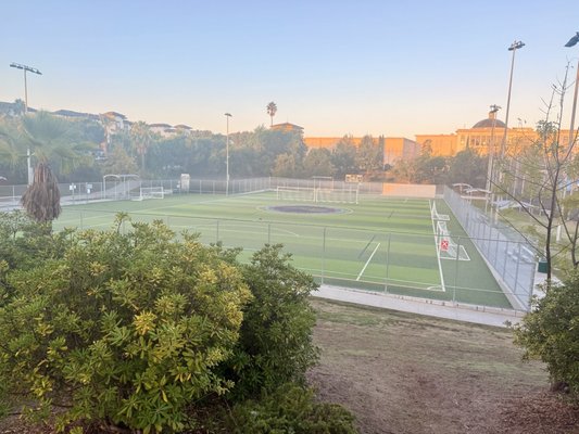 Pan Pacific Park by null