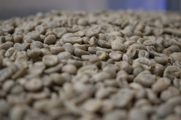 Lost Dutchman Coffee Roasters by null