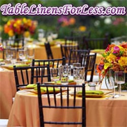 Table Linens For Less - The Best Selection of Table Linens Online