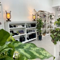 The Pilea Plant Shop - Plant accessories