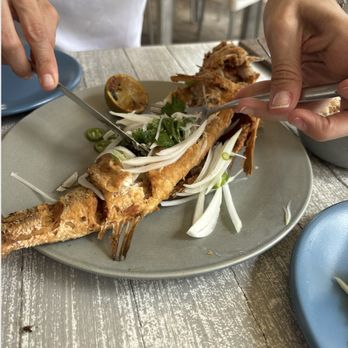Ictio - Seafood Near Me - Playa del Carmen, ROO