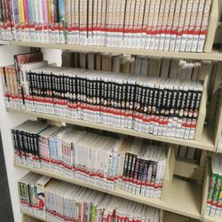 Columbus Metropolitan Library - Dublin Branch - Large manga section!
