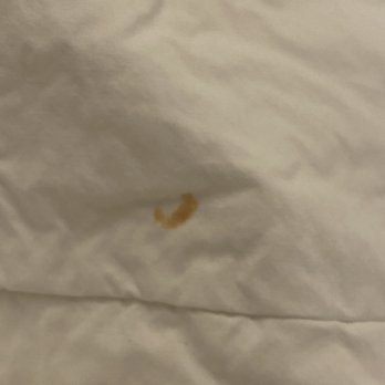 Holiday Inn Express & Suites Bishop - On the bedding. - Hotels Near Me - Bishop, California