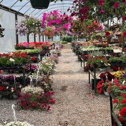 Sherwood Nursery & Greenhouse